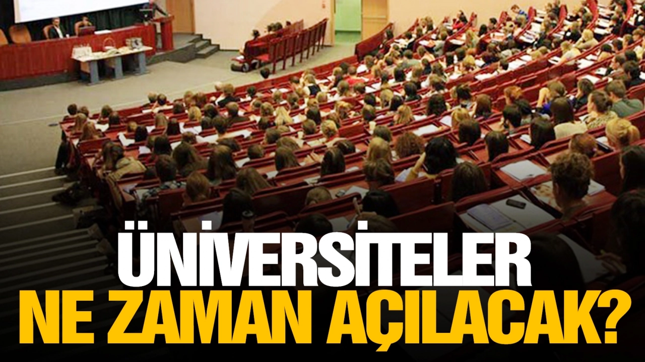 üniversitee